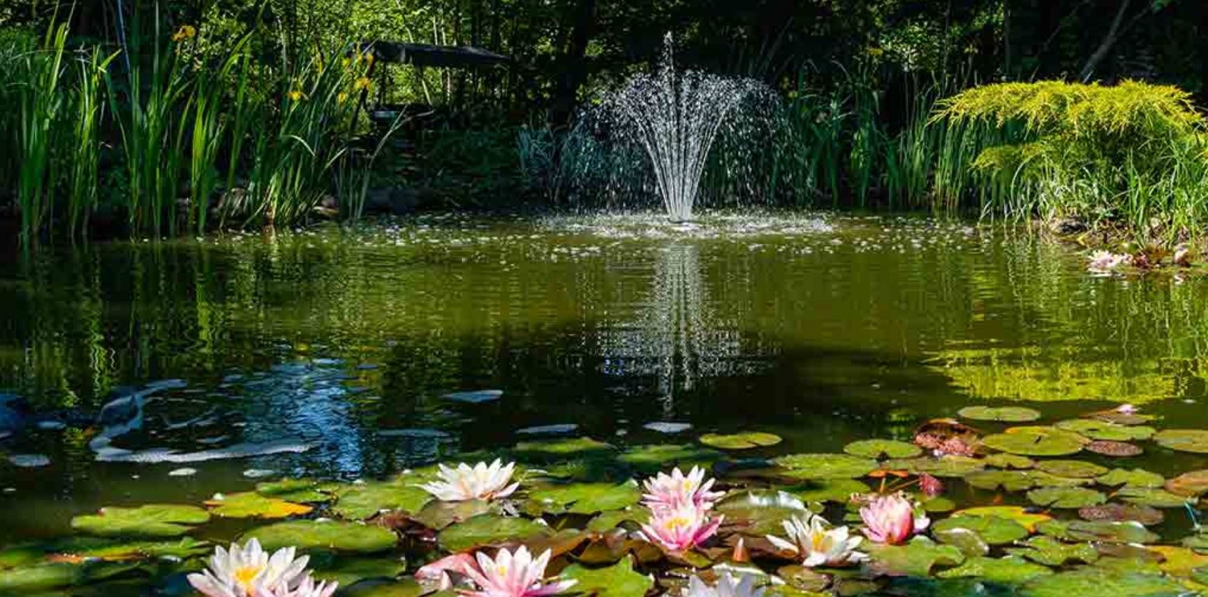 Kohinoor Uptown Avenue - natural water body amenity