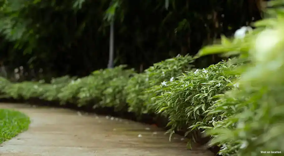 Kolte Patil Life Republic - image 11