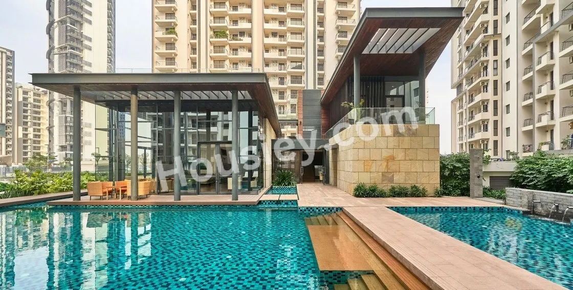 Majestique Evolvus - image 12