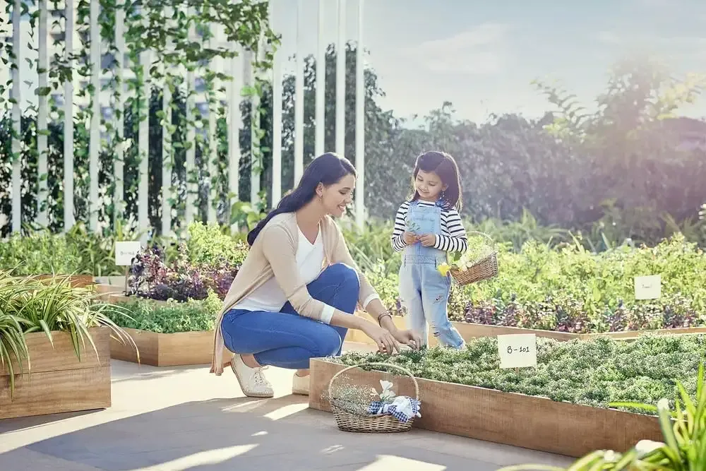 Provident Kenvista - image 6