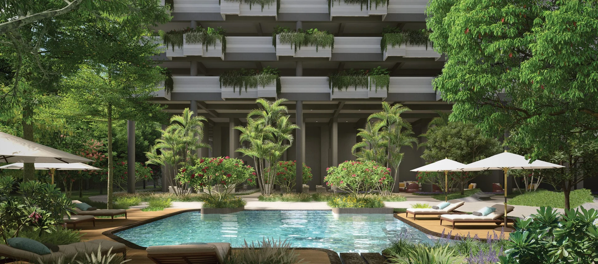 Rohan Harita lap pool set within the wooded podium deck